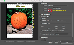 carving a pumpkin Photoshop style
