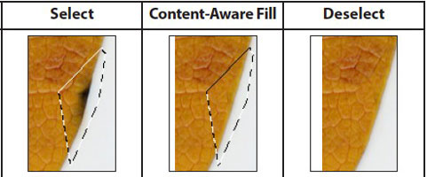 Content-Aware Fill