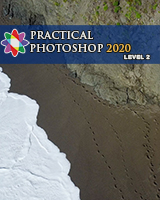 Practical Photoshop 2020, Level 2