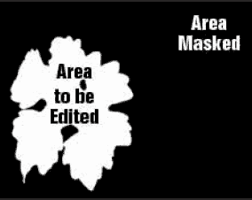 Critter starting image